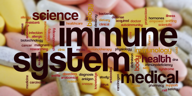 Multivitamins Effective in Boosting Your Immune System